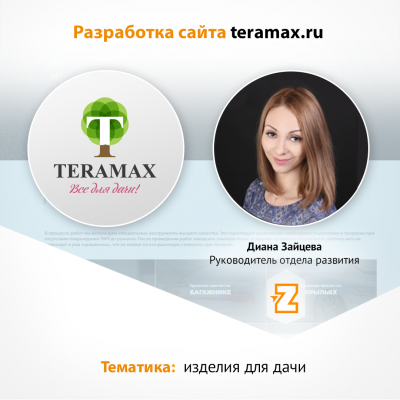 Разработка сайта Teramax