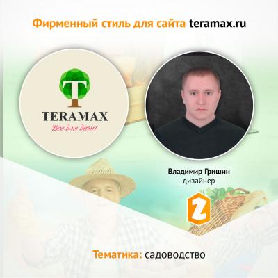 Кейс создание фирменного стиля и разработка логотипа для сайта teramax