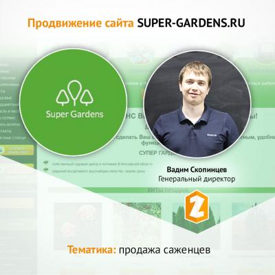 Кейс Продвижение сайта SUPER-GARDENS.RU в тематике ПРОДАЖА САЖЕНЦЕВ