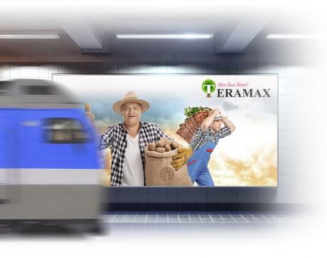 Фирменный стиль Teramax