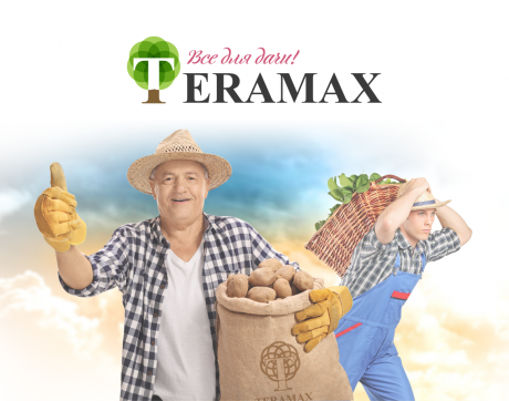 Логотип Teramax