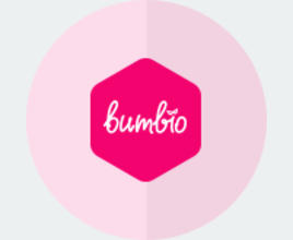 BUMBIO.RU - продвижение сайта