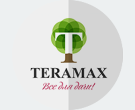 Фирменный стиль для сайта teramax.ru фото